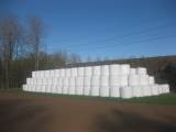 Ensilage Ensilage