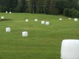 Hö, Hösilage, Ängshö Hö, Hösilage, Ängshö