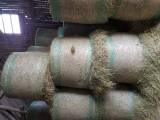 Ensilage Ensilage