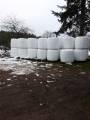 Helsädesensilage Helsädesensilage
