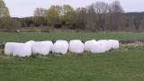 Hö Ensilage 2024 Hö Ensilage 2024