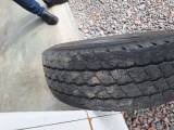 Brainstone Brainstone