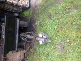 Bpggi2ton Bpggi2ton
