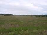 14 ha Åkermark . Skog&Bete .17 km väster Kristianstad 14 ha Åkermark . Skog&Bete .17 km väster Kristianstad